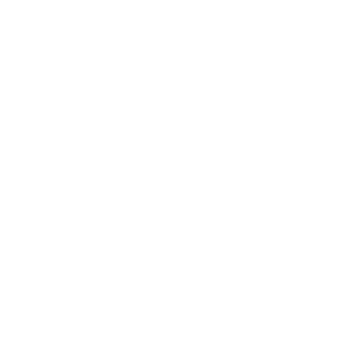 Le Maxime, Genève